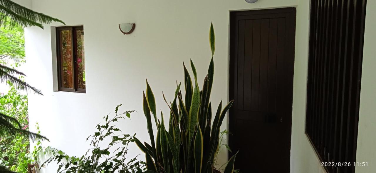 Appartamento Damontanha 2 Ribeira Grande Esterno foto